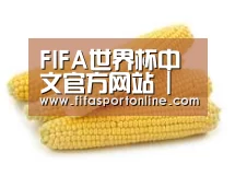 产品名称五