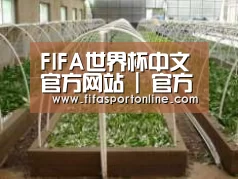 环境展示五