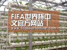 环境展示六
