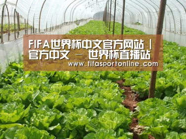 种植基地五