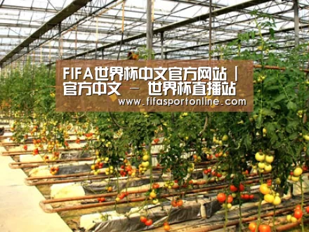 种植基地二