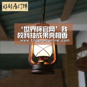 ‘世界杯官网’我校科技成果亮相香港“创科博览2018”(图3) 2026世界杯