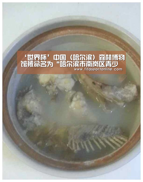 世界杯官网